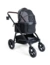 TrendPet Buggy Walk