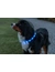 TRIXIE Flash Leuchtband USB