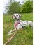 TRIXIE Soft Rope Leine