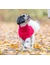 TRIXIE Pullover Norwood