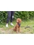 TRIXIE CityStyle Hundegeschirr Baumwolle