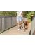 TRIXIE Premium Active Geschirr