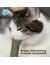 Petlando Earthcat Catnip