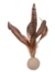Petlando Earthcat Silverline