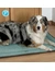 Petlando Hundematte Cosymat