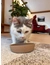 Petlando Bamboo Katzennapf Bari