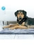 Petlando Decke Alaska