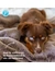 Petlando Decke Alaska