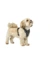 HUNTER Hundegeschirr Divo Up