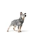 HUNTER Hundegeschirr Maldon Up
