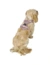 HUNTER Hundegeschirr Divo Up