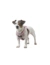 HUNTER Hundegeschirr Divo Up