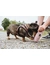 HUNTER Trainer Snack Dummy mit Seil