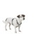 HUNTER Hundegeschirr Tripoli