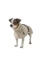 HUNTER Hundemantel Nordby