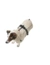 HUNTER Hundemantel Nordby