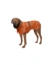 HUNTER Hundemantel Nordby