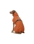 HUNTER Hundemantel Nordby