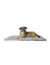 Hunter Decke & Kissen 2in1