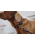 HUNTER Hundehalsband Malia