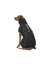 HUNTER Hundemantel Nordby