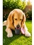 NATURplus Schleckbecher