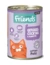 activa Friends Kitten