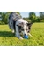 activa Friends Snack-Ball