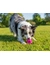 activa Friends Snack-Ball