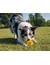 activa Friends Snack-Ball