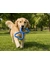 activa Friends Tugger 2er