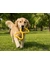 activa Friends Tugger 2er