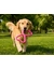 activa Friends Tugger 2er