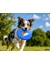 activa Friends Frisbee