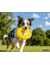 activa Friends Frisbee