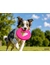 activa Friends Frisbee