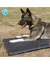 Petlando Hundematte Starlight