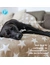 Petlando Kuscheldecke Stars