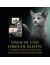 Sheba Kitten in Sauce