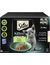 Sheba Kitten Feine Vielfalt in Sauce