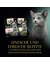Sheba Kitten Feine Vielfalt in Sauce