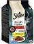 Sheba Fresh Cuisine
