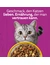 whiskas 1+
