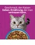 whiskas 1+