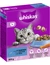 whiskas 1+