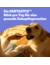 Pedigree Dentastix Daily Oral Care Multipack für mittelgroße Hunde