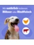 Pedigree Dentastix Daily Oral Care Multipack für mittelgroße Hunde