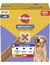 Pedigree Dentastix Daily Oral Care Multipack