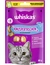 whiskas Knuspertaschen