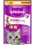 whiskas Vitamin E-xtra